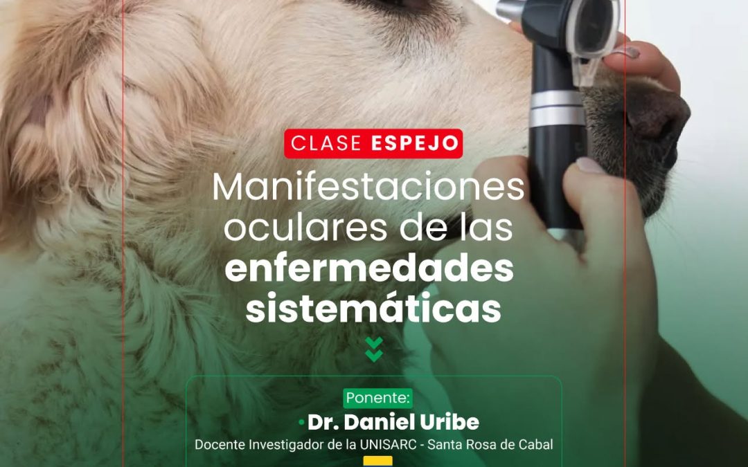 Clase espejo titulada: «MANIFESTACIONES OCULARES DE LAS ENFERMEDADES SISTEMÁTICAS»