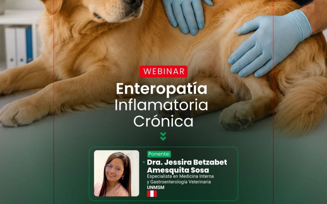 WEBINAR titulado: «ENTEROPATÍA INFLAMATORÍA CRÓNICA»
